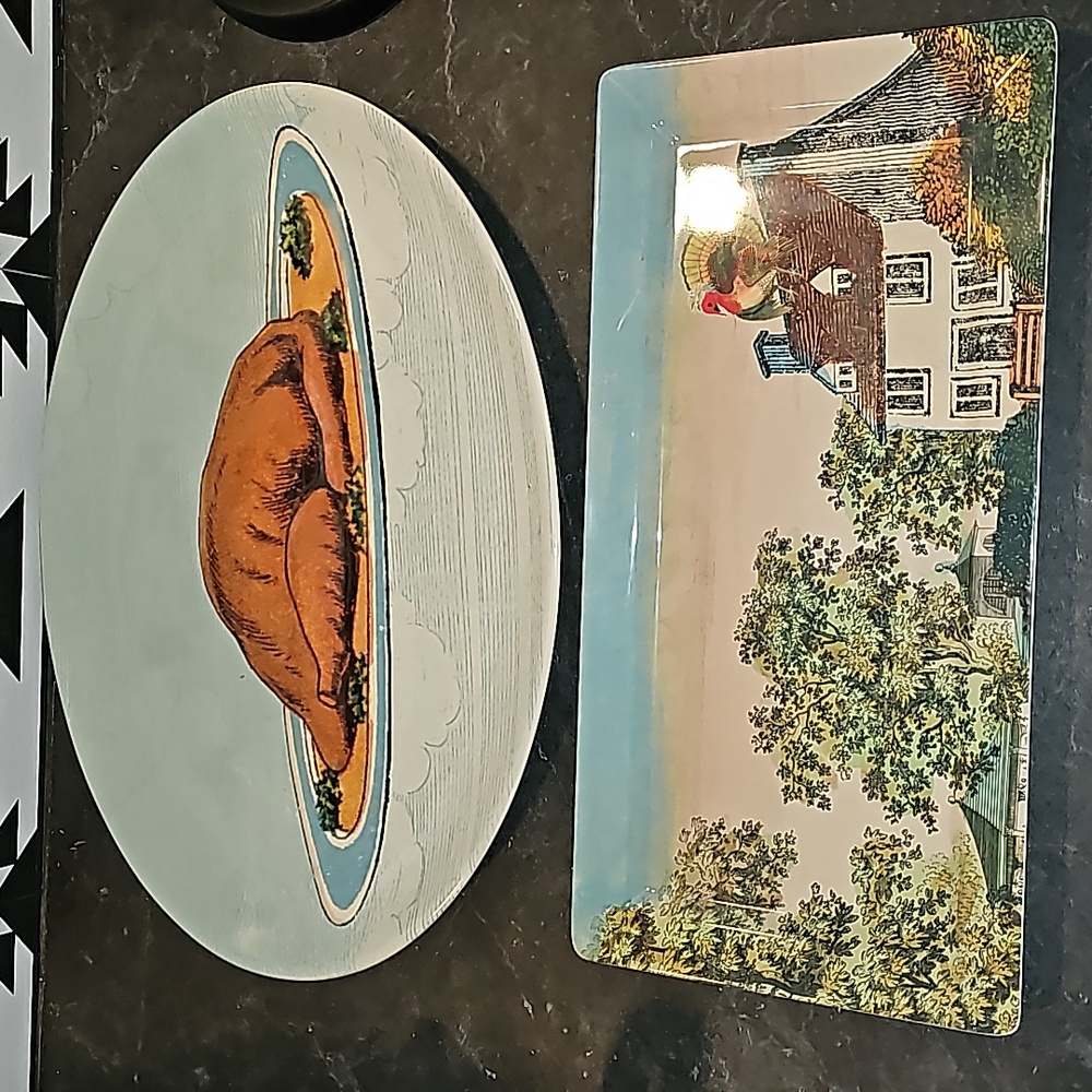 Set of 2 john derian turkey trays platters